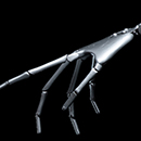 Yes Hand Skeleton